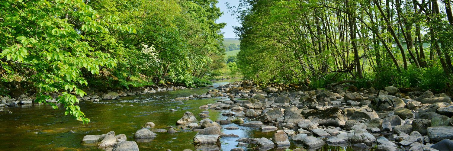 Fishing on the River Lune