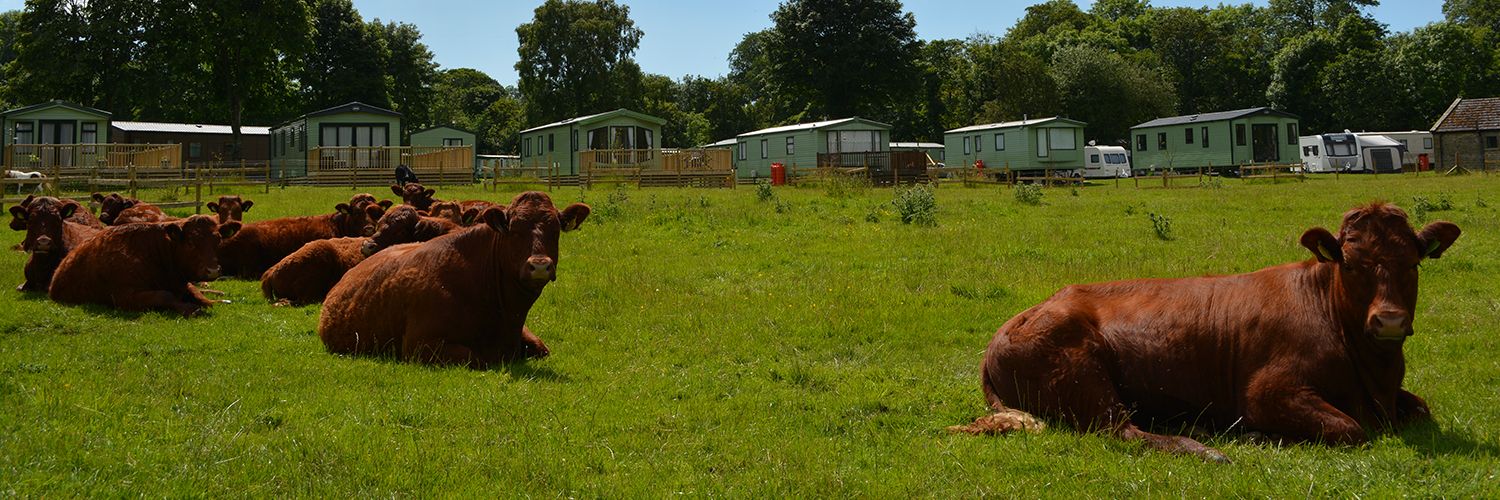 Farm and wildlife