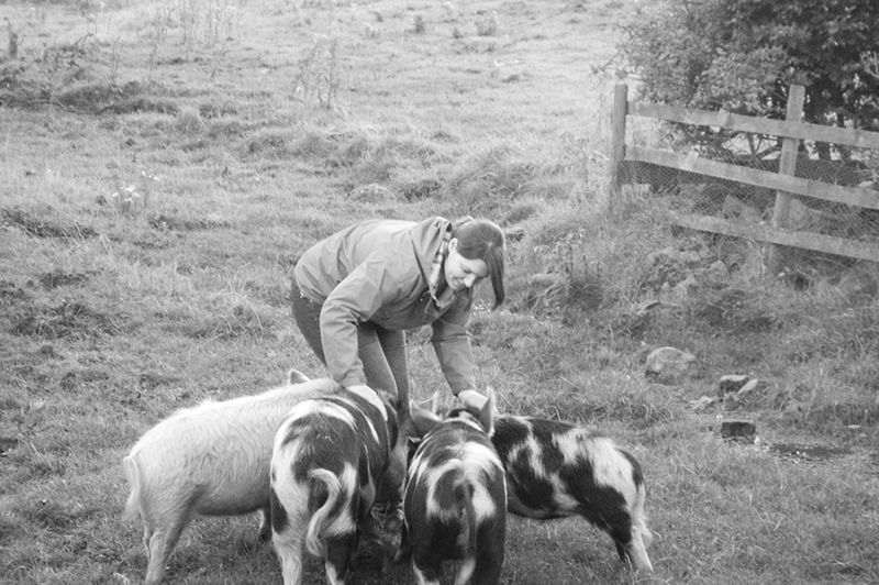 Farm/Wildlife 12