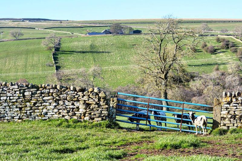 Farm/Wildlife 5