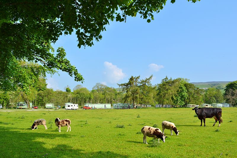 Farm/Wildlife 8